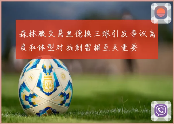 森林狼交易里德换三球引发争议高度和体型对抗刺雷掘至关重要