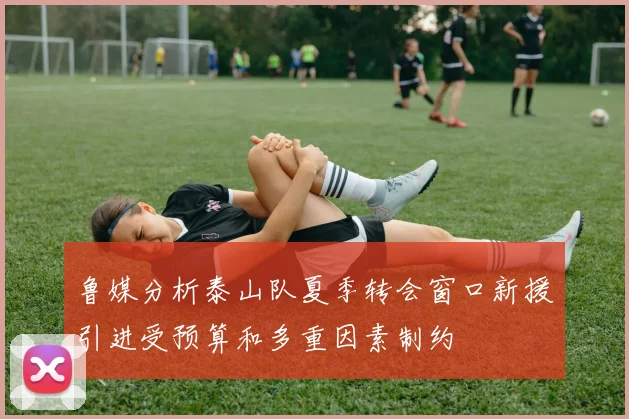 鲁媒分析泰山队夏季转会窗口新援引进受预算和多重因素制约