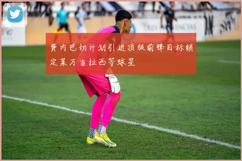 费内巴切计划引进顶级前锋目标锁定莱万吉拉西等球星